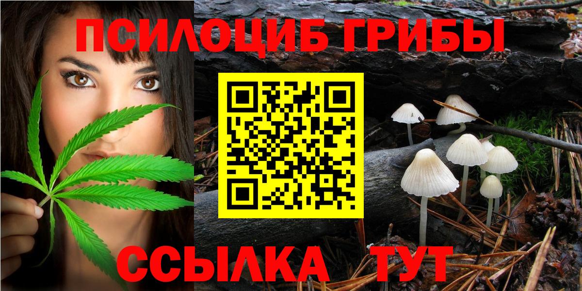 наркотики  Вход с VPN  Карачаевск  Галлюциногенные грибы мухоморы  Галлюциногенные грибы мицелий 